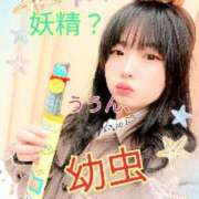 ヒメ日記 2025/11/08 03:30 投稿 ♡まり♡ CLUB AIRLINE（エアーライン）