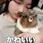 ヒメ日記 2025/11/19 01:40 投稿 ♡まり♡ CLUB AIRLINE（エアーライン）