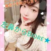 ヒメ日記 2025/11/23 02:21 投稿 ♡まり♡ CLUB AIRLINE（エアーライン）