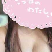 ヒメ日記 2026/01/25 00:32 投稿 せな STAR-スター-