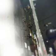 ヒメ日記 2025/11/27 17:48 投稿 みく 肌水(名古屋)