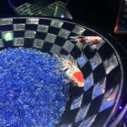 ヒメ日記 2025/09/07 20:44 投稿 とあ 肌水(名古屋)