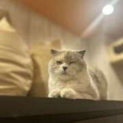 ヒメ日記 2025/10/21 13:12 投稿 とあ 肌水(名古屋)