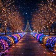 ヒメ日記 2025/11/23 21:09 投稿 とあ 肌水(名古屋)