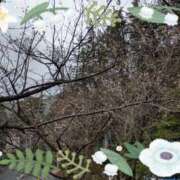 ヒメ日記 2025/12/27 13:58 投稿 みき 肌水(名古屋)