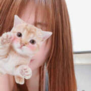 ヒメ日記 2025/09/11 00:19 投稿 河本りか 色気あるワイフ