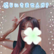 ヒメ日記 2025/12/14 07:22 投稿 河本りか 色気あるワイフ