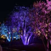 ヒメ日記 2026/01/27 08:02 投稿 河本りか 美魔女エステ