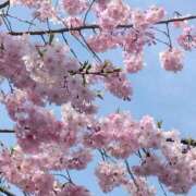 ヒメ日記 2026/02/25 21:18 投稿 まや 肌水(名古屋)