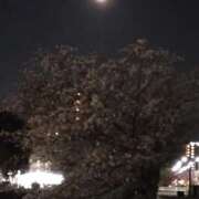 ヒメ日記 2026/04/04 21:31 投稿 まや 肌水