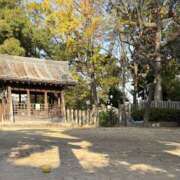 ヒメ日記 2025/11/17 09:00 投稿 りこ 肌水(名古屋)