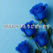 ヒメ日記 2025/11/28 12:00 投稿 りこ 肌水(名古屋)