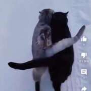 ヒメ日記 2026/01/06 18:46 投稿 なな 肌水(名古屋)