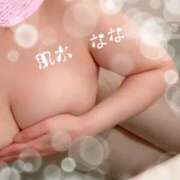 ヒメ日記 2026/02/12 21:44 投稿 なな 肌水(名古屋)