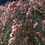 ヒメ日記 2026/02/21 23:18 投稿 なな 肌水(名古屋)