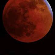 ヒメ日記 2026/03/10 19:54 投稿 なな 肌水(名古屋)