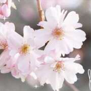 ヒメ日記 2026/04/03 17:56 投稿 なな 肌水