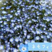 ヒメ日記 2026/04/20 15:37 投稿 なな 肌水