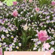 ヒメ日記 2026/04/20 20:03 投稿 なな 肌水
