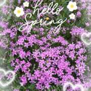 ヒメ日記 2026/04/28 20:13 投稿 なな 肌水