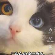 ヒメ日記 2026/06/04 21:50 投稿 なな 肌水