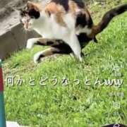 ヒメ日記 2026/06/17 20:28 投稿 なな 肌水