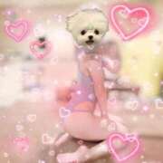 ヒメ日記 2026/02/20 11:03 投稿 かほ クラブKG