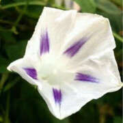 ヒメ日記 2025/11/02 18:26 投稿 りょうこ 肌水(名古屋)