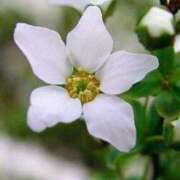 ヒメ日記 2025/12/07 12:09 投稿 りょうこ 肌水(名古屋)