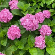 ヒメ日記 2026/05/13 19:03 投稿 りょうこ 肌水
