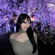 本多 怜香 春に撮った写真 レス青山