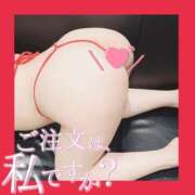 ヒメ日記 2025/09/12 18:51 投稿 ぱいん マリン土浦本店