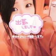 ヒメ日記 2025/10/27 11:17 投稿 ぱいん マリン土浦本店