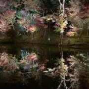 ヒメ日記 2025/11/19 09:51 投稿 ぱいん マリン土浦本店