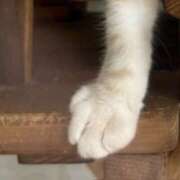 ヒメ日記 2025/10/19 15:08 投稿 せいら 恋愛マット同好会