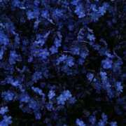 ヒメ日記 2025/11/14 11:28 投稿 杏璃(あんり) グランドオペラ横浜