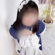 ヒメ日記 2025/09/12 21:52 投稿 みに 横浜ひよこ倶楽部