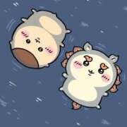 ヒメ日記 2025/12/26 23:36 投稿 みに 横浜ひよこ倶楽部