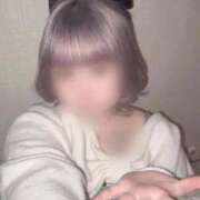 ヒメ日記 2026/02/10 21:46 投稿 みに 横浜ひよこ倶楽部