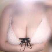 ヒメ日記 2026/02/18 10:06 投稿 みに 横浜ひよこ倶楽部