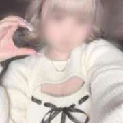 ヒメ日記 2026/03/10 19:06 投稿 みに 横浜ひよこ倶楽部