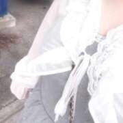 ヒメ日記 2026/04/14 15:46 投稿 みに 横浜ひよこ倶楽部