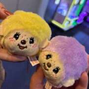 ヒメ日記 2026/02/10 09:29 投稿 しゅな SOAPLAND COSPA SAPPORO