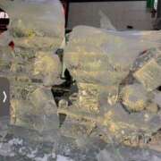 ヒメ日記 2026/02/11 06:29 投稿 しゅな SOAPLAND COSPA SAPPORO