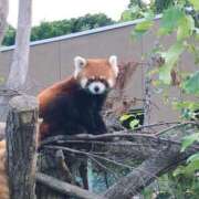 ヒメ日記 2026/03/06 03:09 投稿 しゅな SOAPLAND COSPA SAPPORO