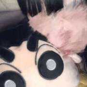 ヒメ日記 2026/03/19 06:19 投稿 しゅな SOAPLAND COSPA SAPPORO