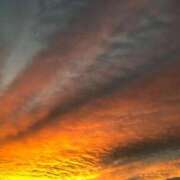 ヒメ日記 2025/11/05 23:30 投稿 藤宮わかば フェティッシュエステ Lust Mirage