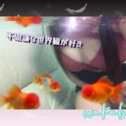 ヒメ日記 2026/01/26 01:00 投稿 藤宮わかば フェティッシュエステ Lust Mirage