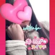 ヒメ日記 2026/02/14 15:35 投稿 藤宮わかば フェティッシュエステ Lust Mirage