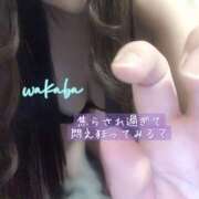 ヒメ日記 2026/02/24 12:36 投稿 藤宮わかば フェティッシュエステ Lust Mirage